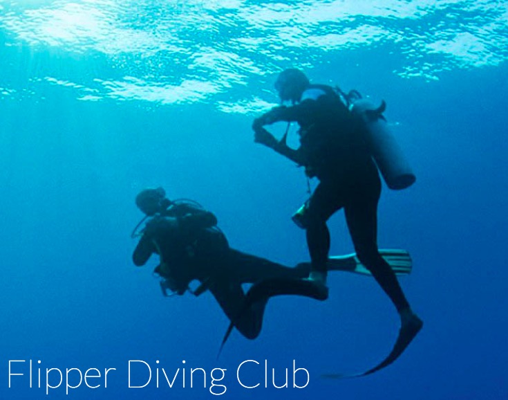 PADI Dive Masters Free Watersports Job Board